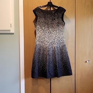 Ann Taylor, sleeveless black and white dress.
